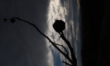 20191109_130104