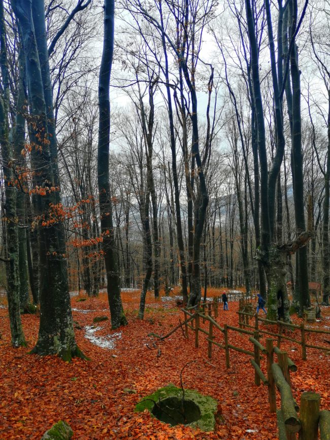 IMG_20191207_141702-01