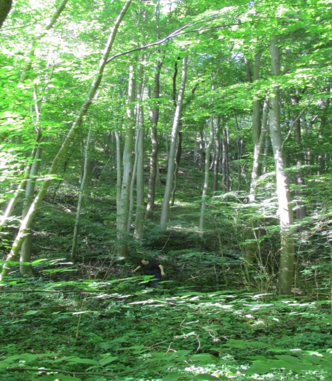 букова гора