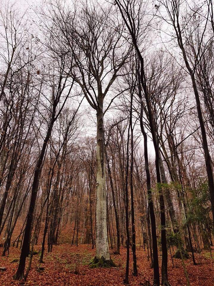 received_1126359457554098