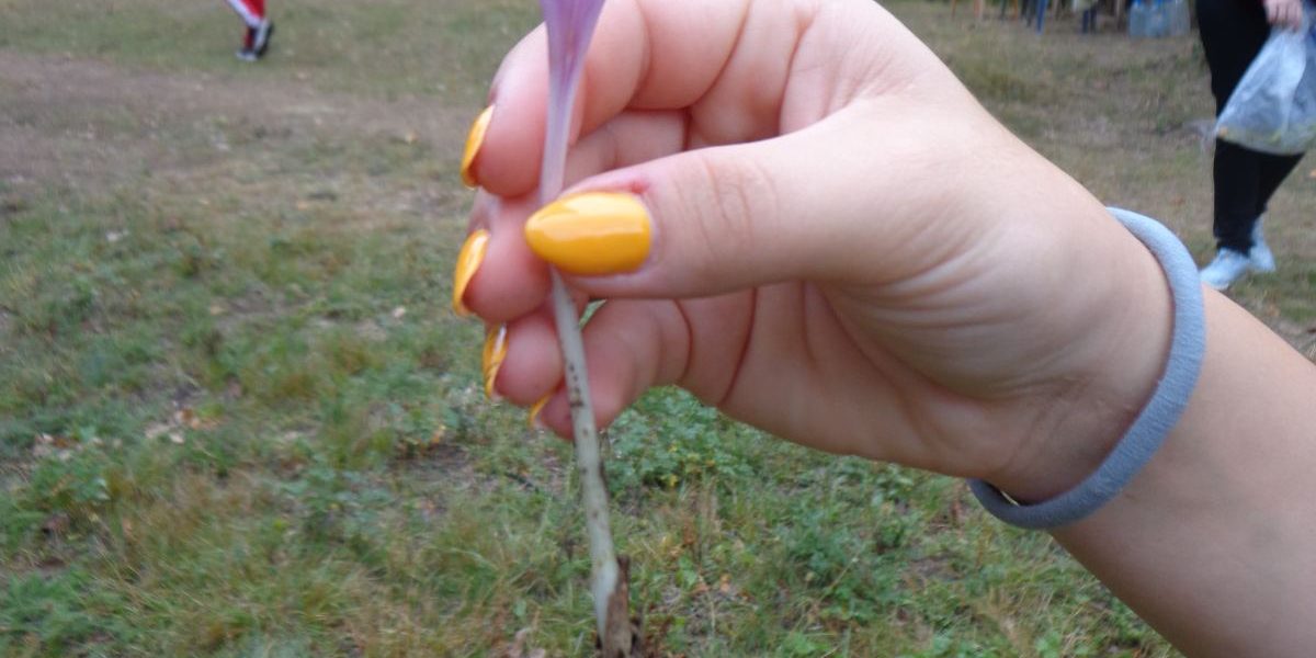 IMG-8703911c85b27aea9a8a8b9b378ea468-V