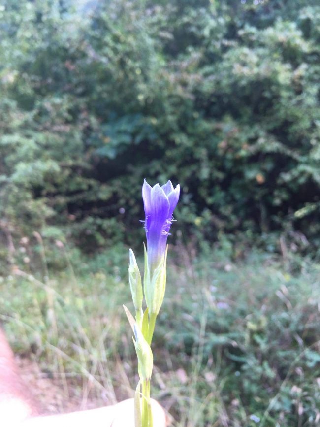 received_1261368817561396-1