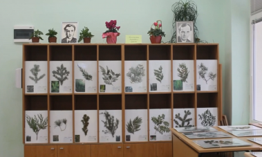 Изложба 4