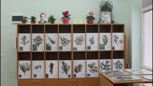 Изложба 4