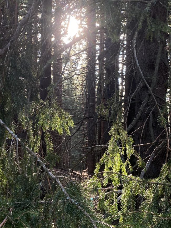 viber_image_2023-04-28_19-31-49-774