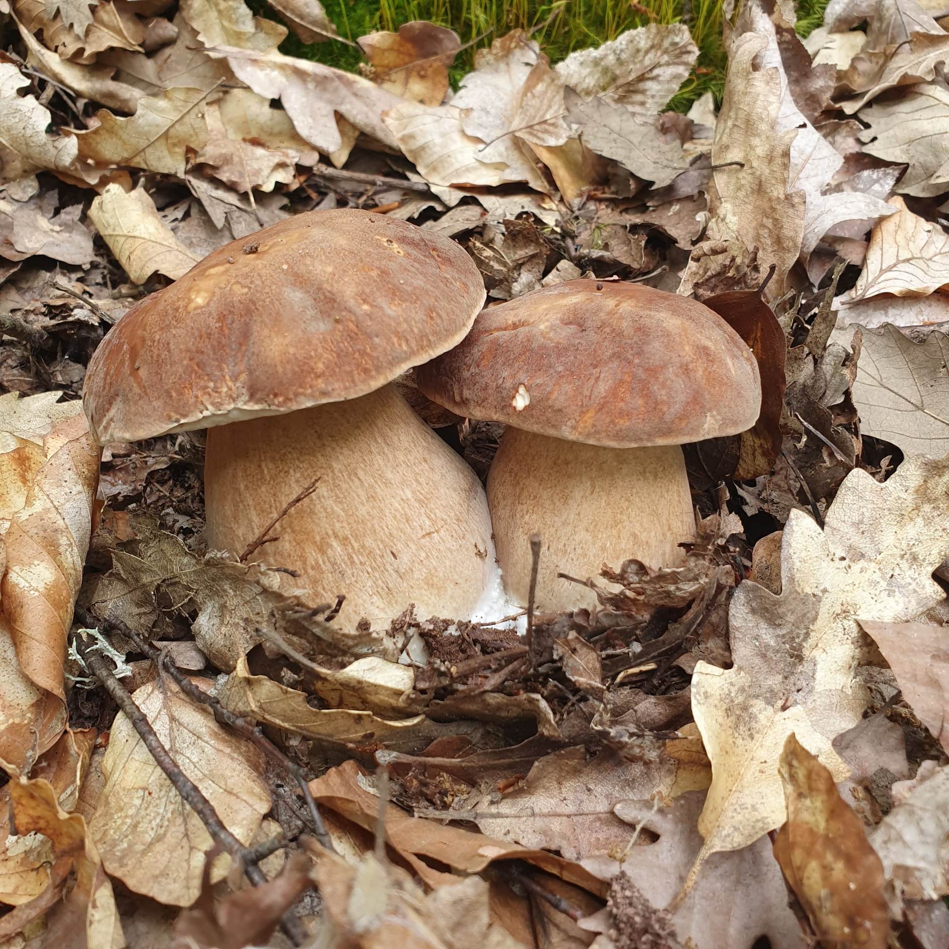 350084653_285994340525736_8414905959060217910_n