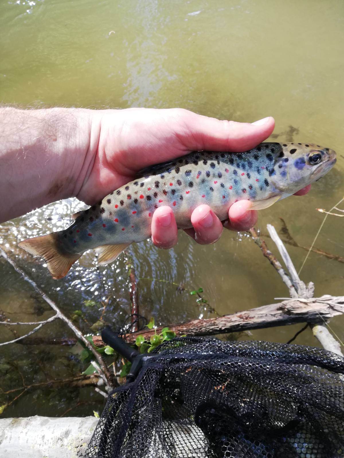 350373585_1715368592244380_8168490476288669306_n